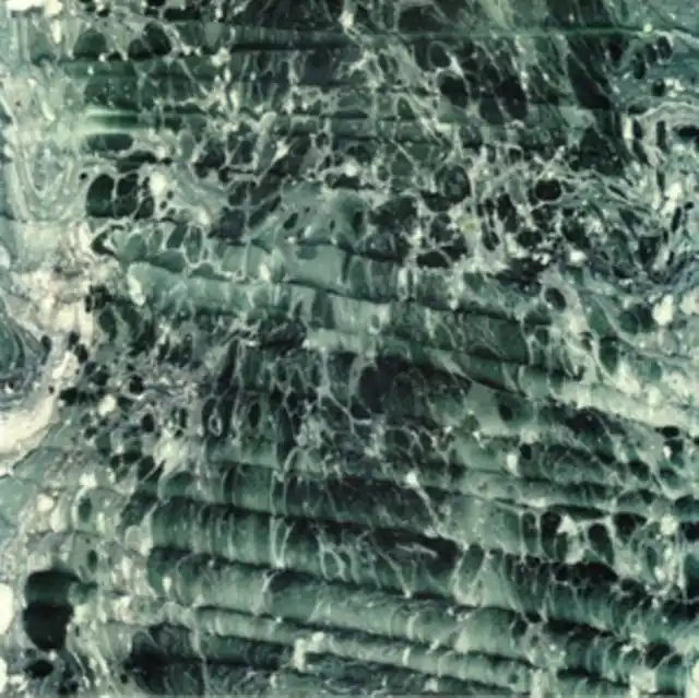 SIENKIEWICZ,JACEK - IMOW (Vinyl LP) Best Choice