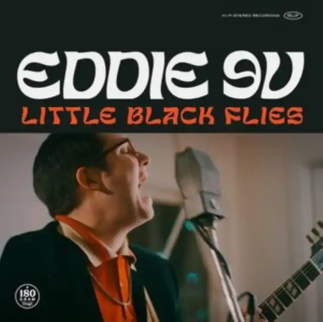 Editor’s Pick EDDIE 9V - LITTLE BLACK FLIES (Vinyl LP)