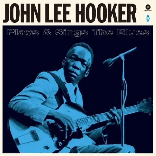 LEE HOOKER,JOHN - PLAYS & SINGS THE BLUES (IMPORT) (Vinyl LP) Handmade